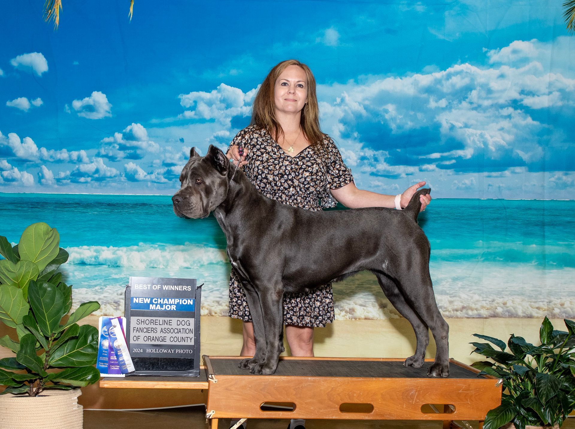 A woman is standing next to a large dog on a table.