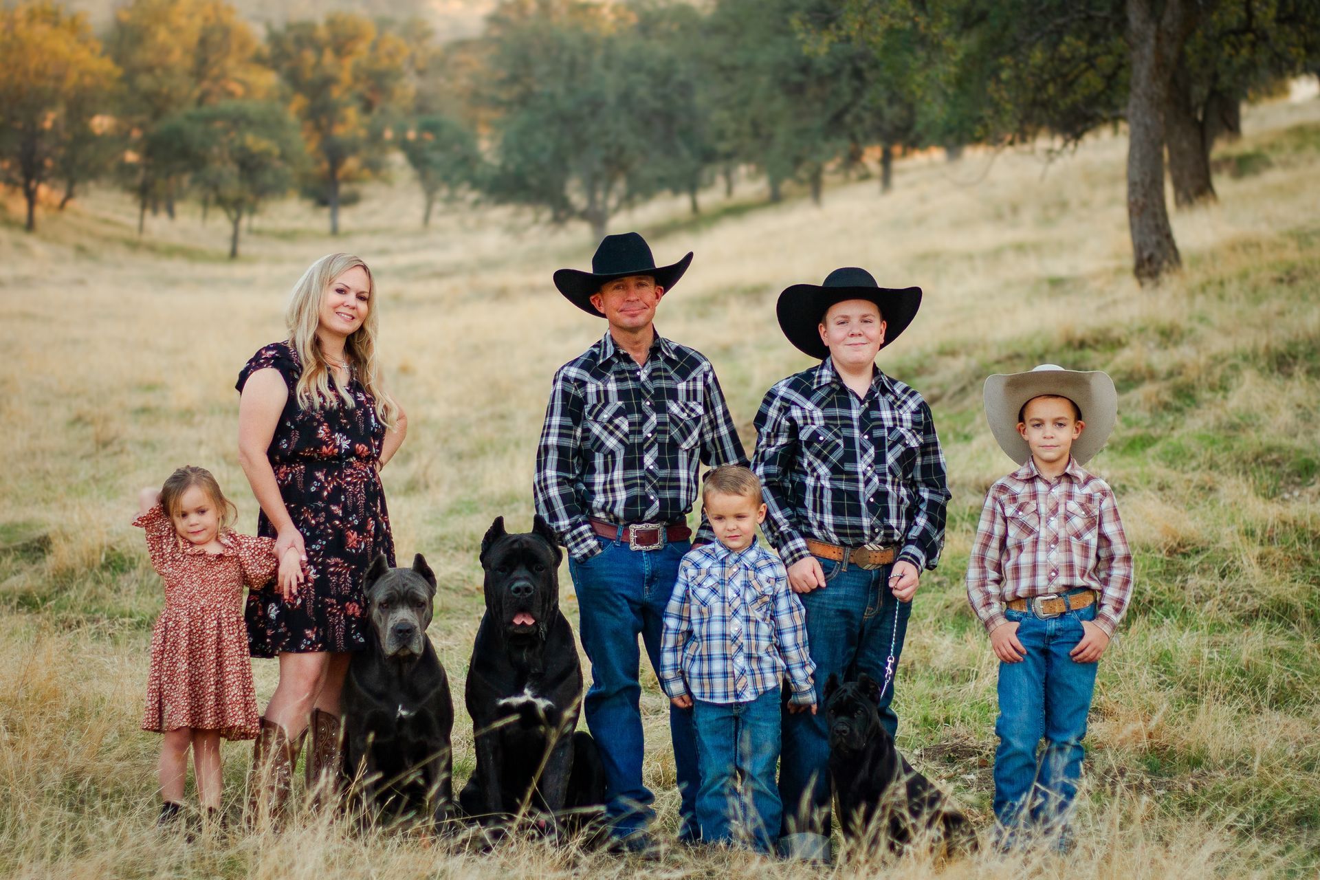 A man and a woman are riding horses in a field.