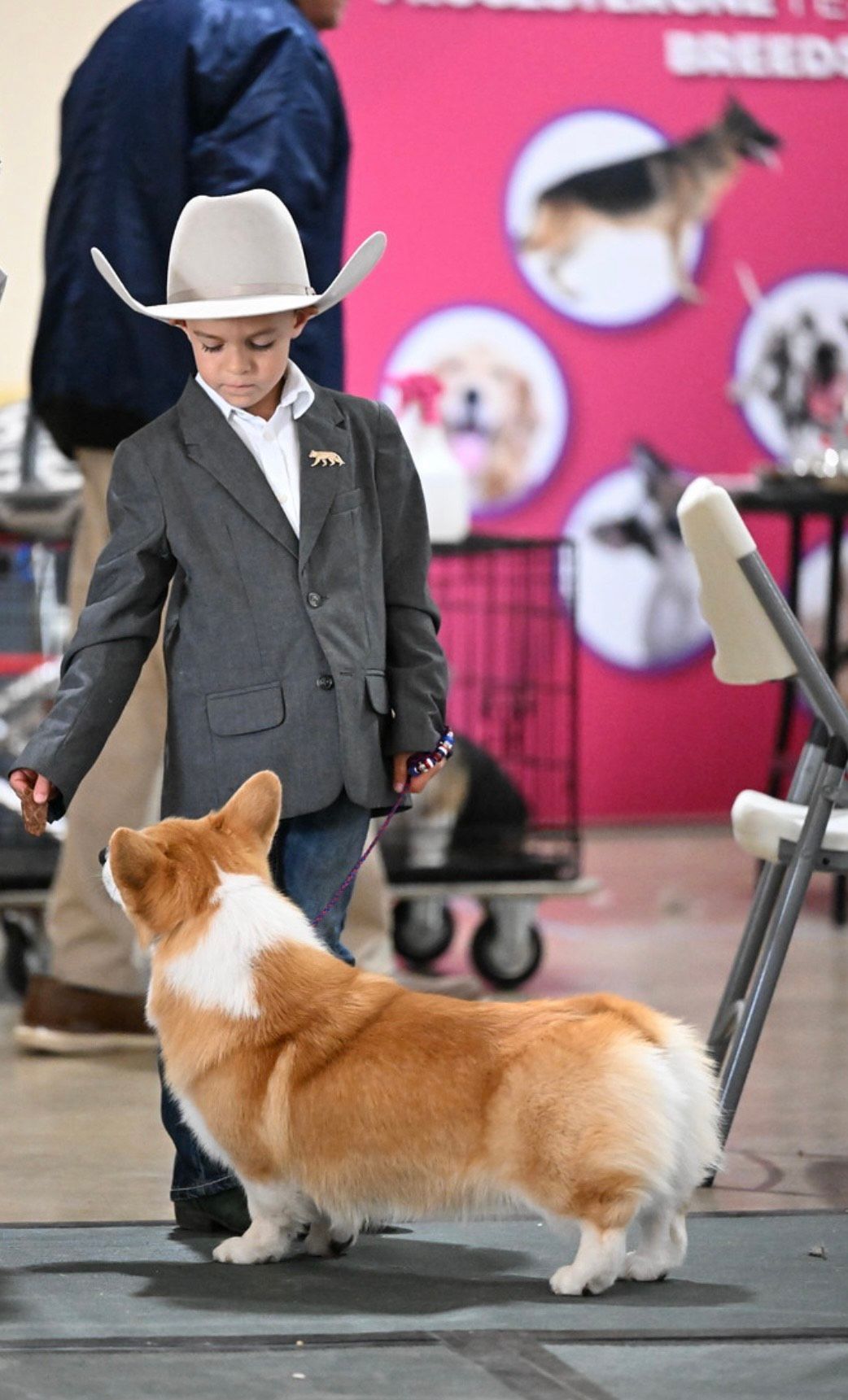 A young boy in a cowboy hat is walking a corgi dog