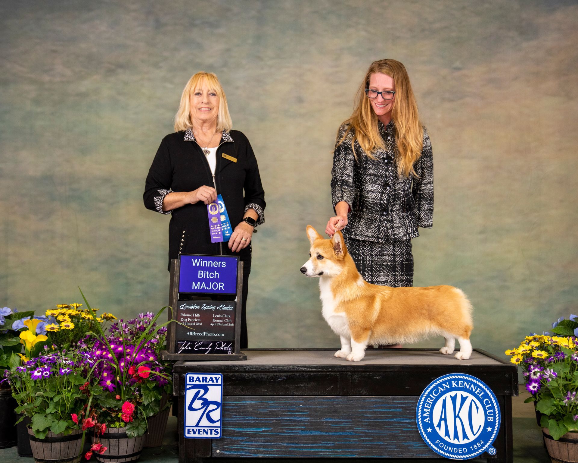 A woman and a dog are standing on a podium at a dog show.