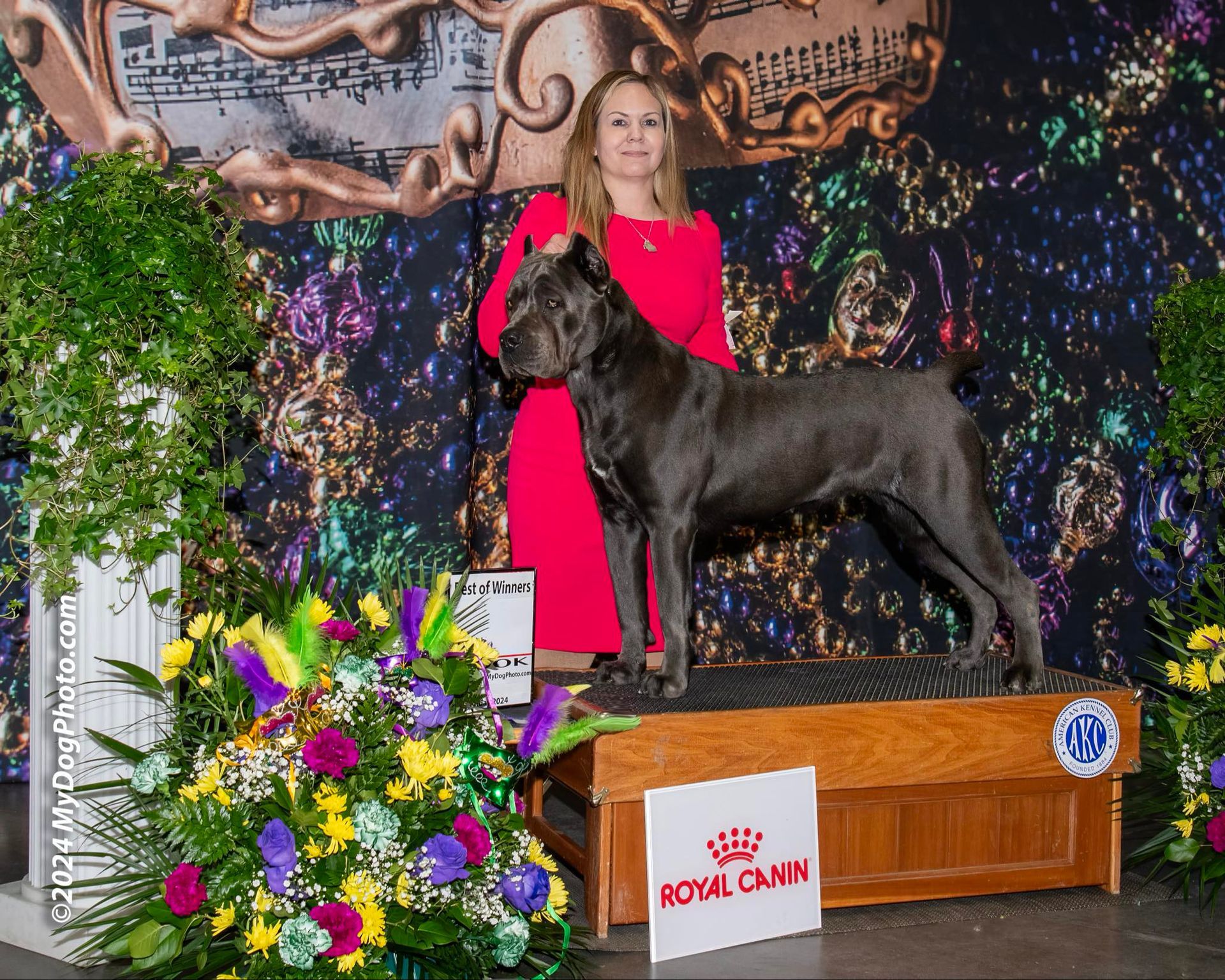 A woman in a red dress is standing next to a dog on a podium at a dog show.
