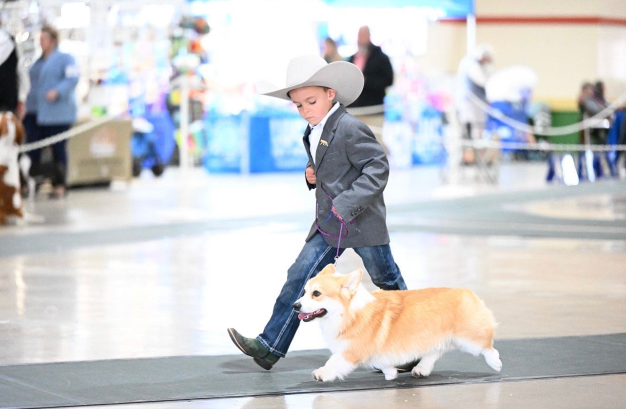 A young boy in a cowboy hat is walking a dog on a leash.