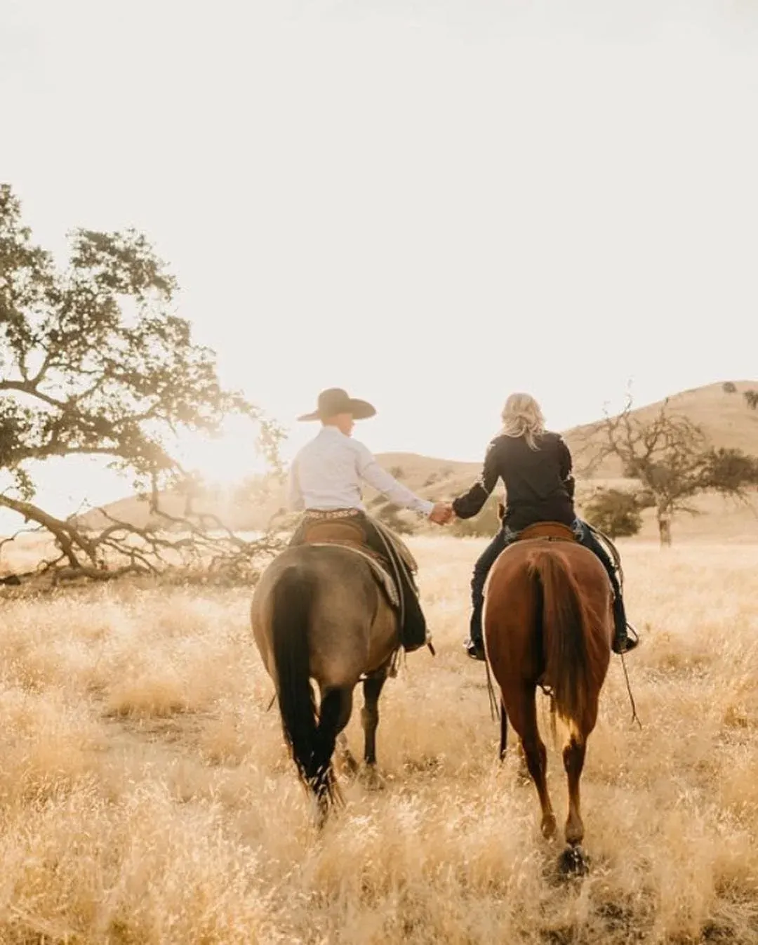 A man and a woman are riding horses in a field.