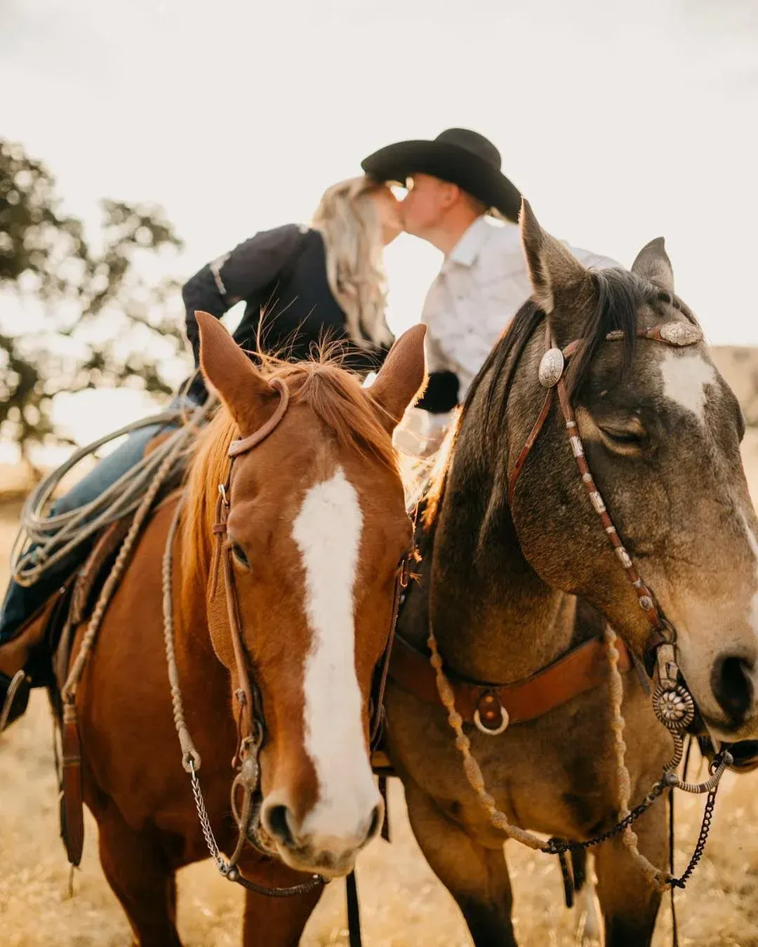 A man and woman are kissing while riding horses in a field.