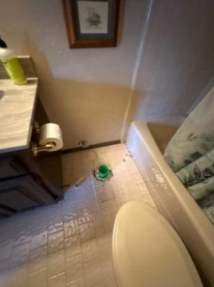 Bathroom with a toilet, bathtub, sink, and artwork. The toilet base is exposed.