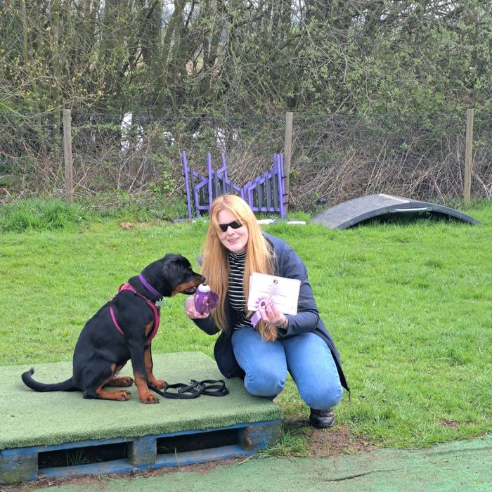 Ipswich dog training, and dog behaviourist. Ipswich dog walking