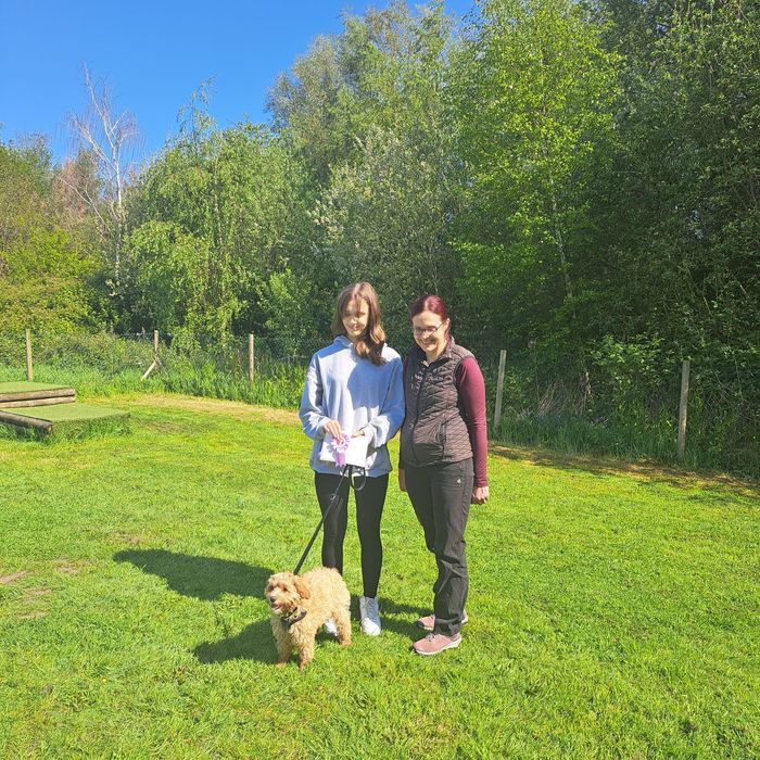 Ipswich dog training, and dog behaviourist. Ipswich dog walking