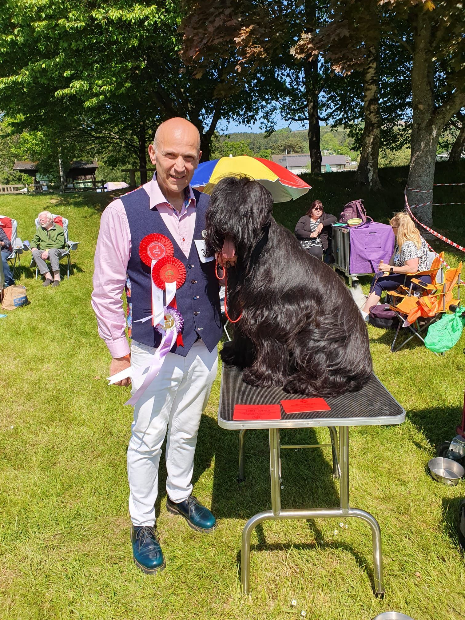 Winning Rosettes for a Briard