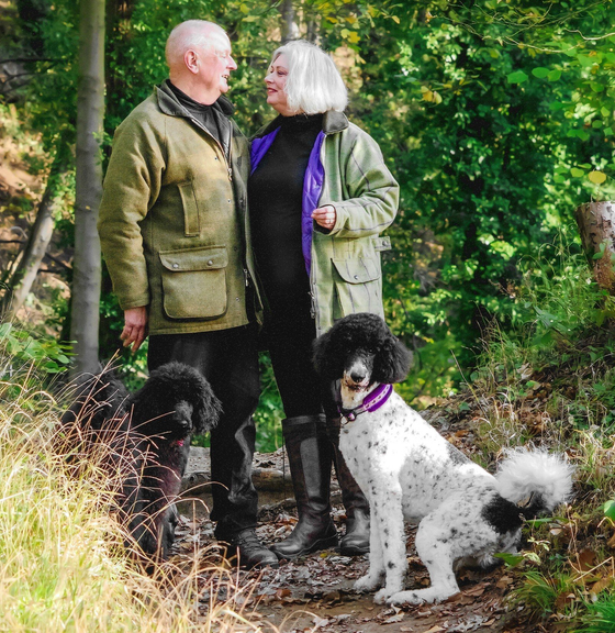Ipswich dog training, and dog behaviourist. Ipswich dog walking