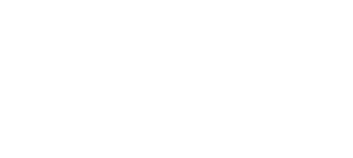Gaddis Foundation Logo