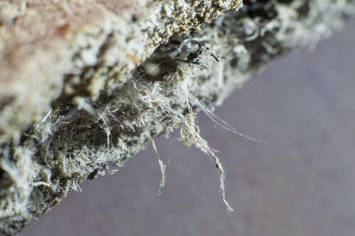 What to Ask an Asbestos Contractor Before Your Survey