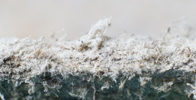 Busting Common Asbestos Myths (Everything You Need to Know About Asbestos)