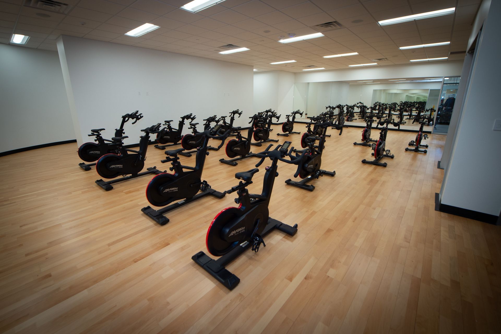 A row of exercise bikes are lined up in a gym.