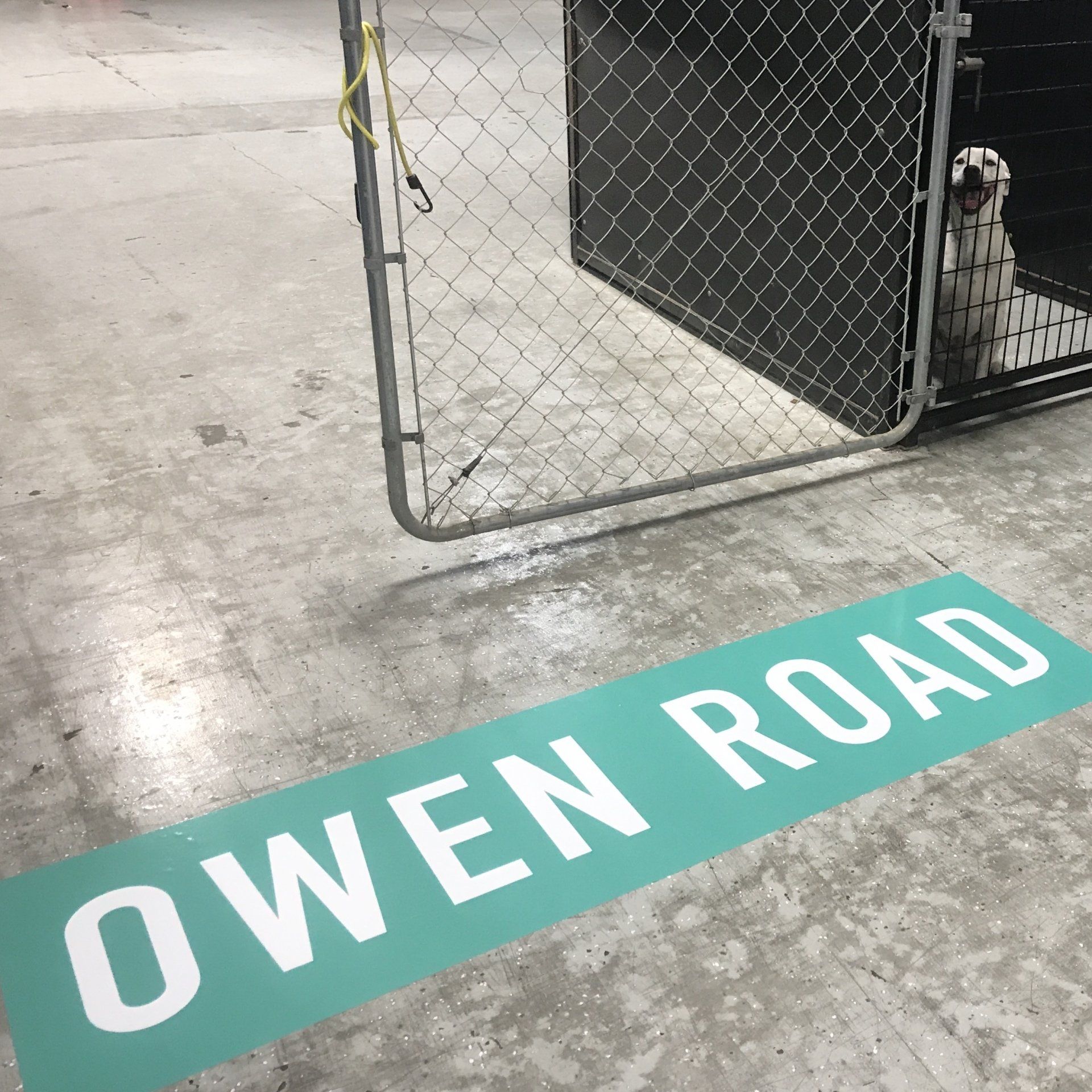 A dog is in a cage on owen road