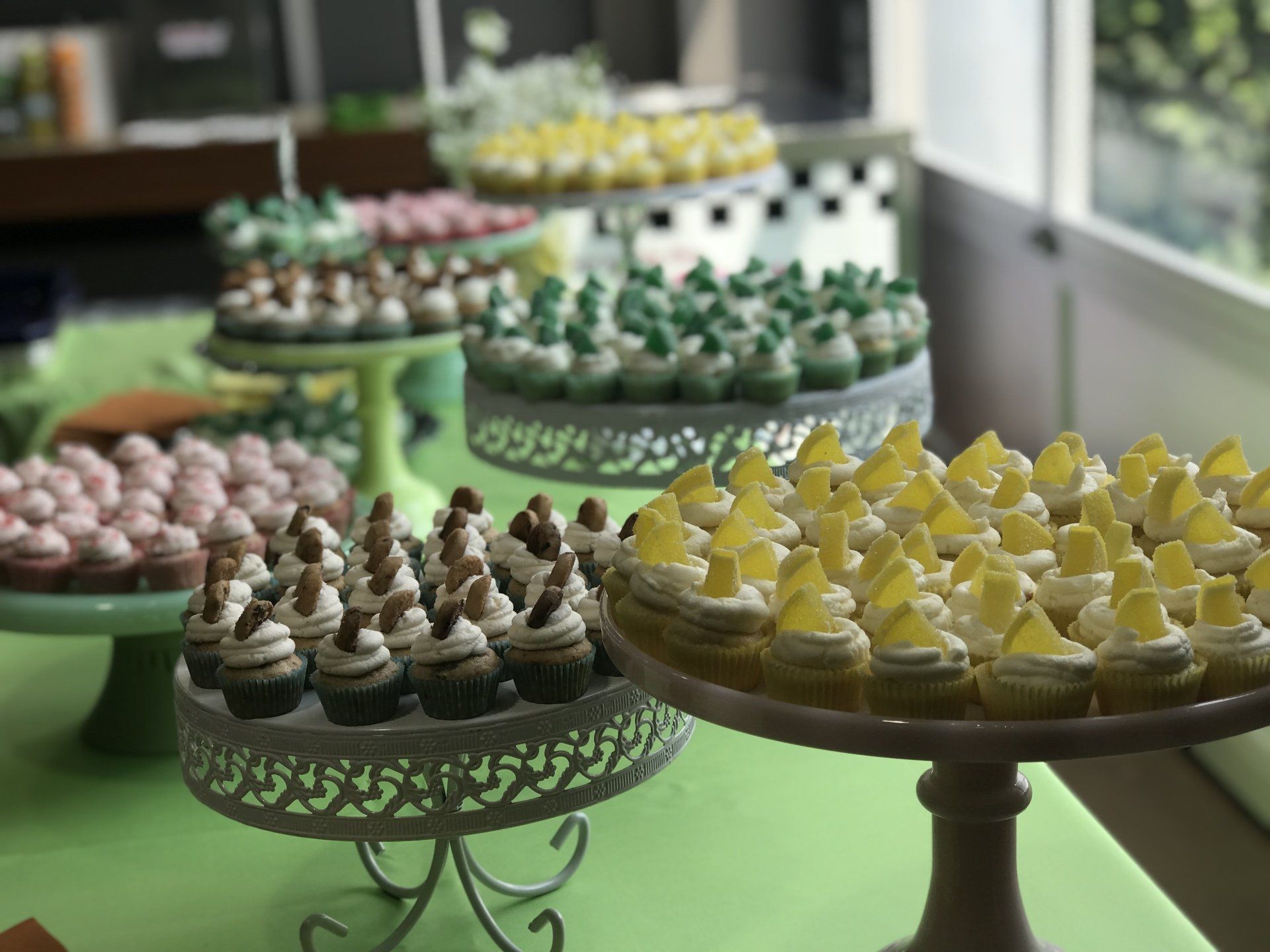 Action Water Sports 10 Year Anniversary Party