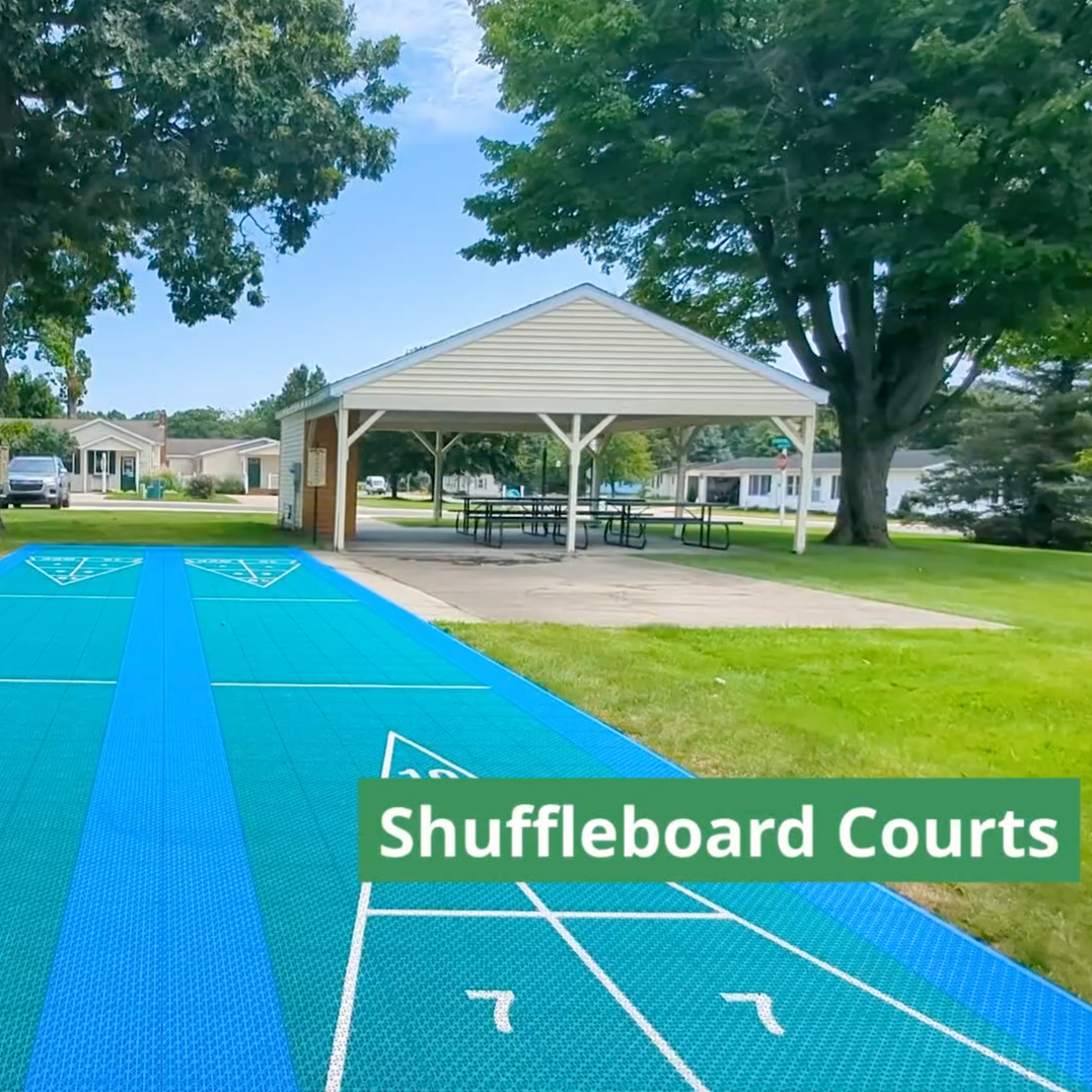 A picture of a shuffleboard court in a park