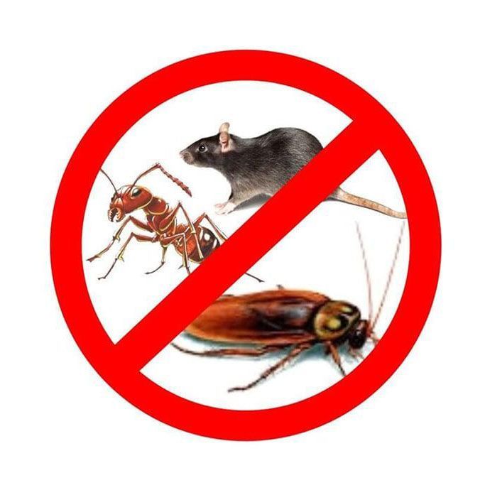 FUMIGACIONES CASA BLANCA