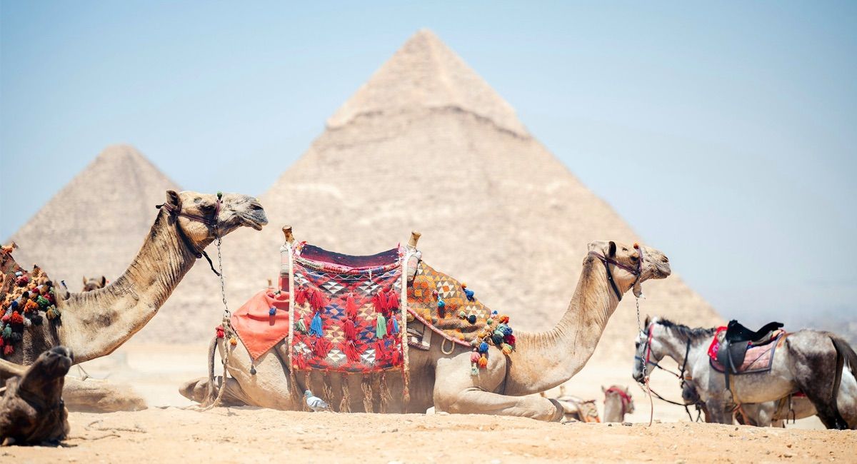 Ägypten Reisen Deutsch