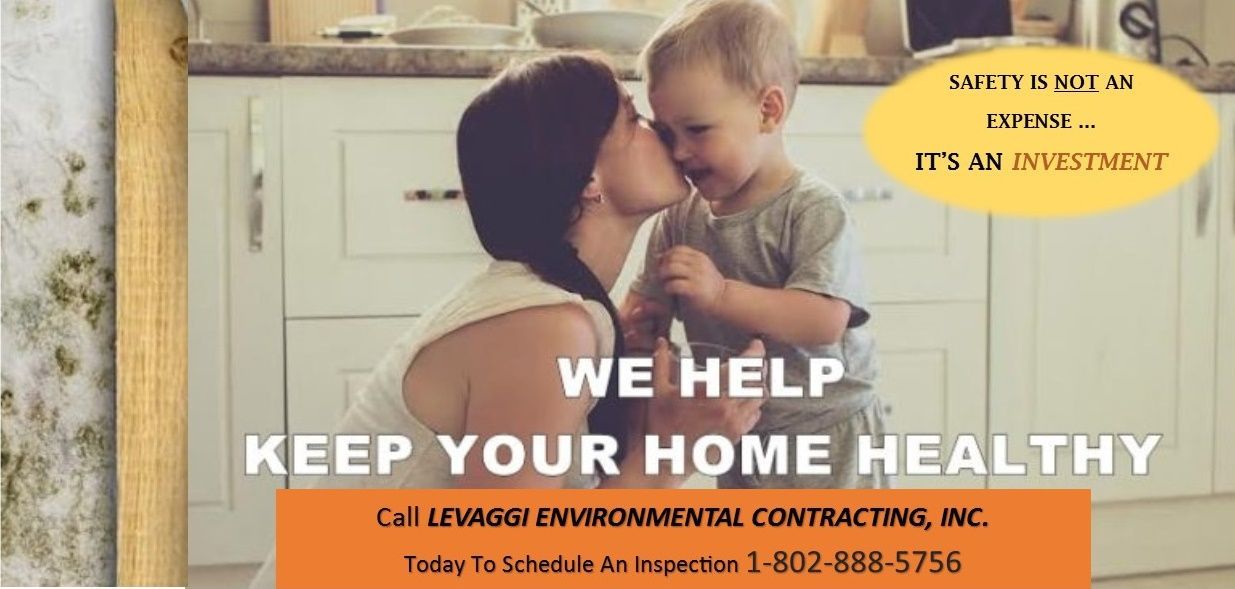 Levaggi Environmental Contracting, Inc.