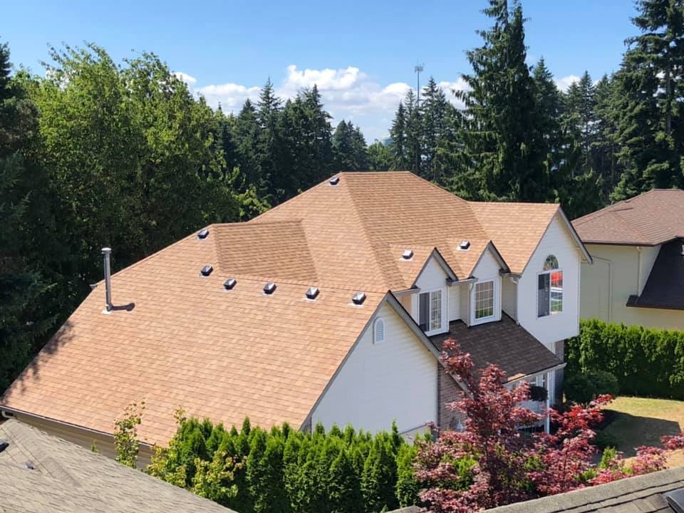 roof replacement