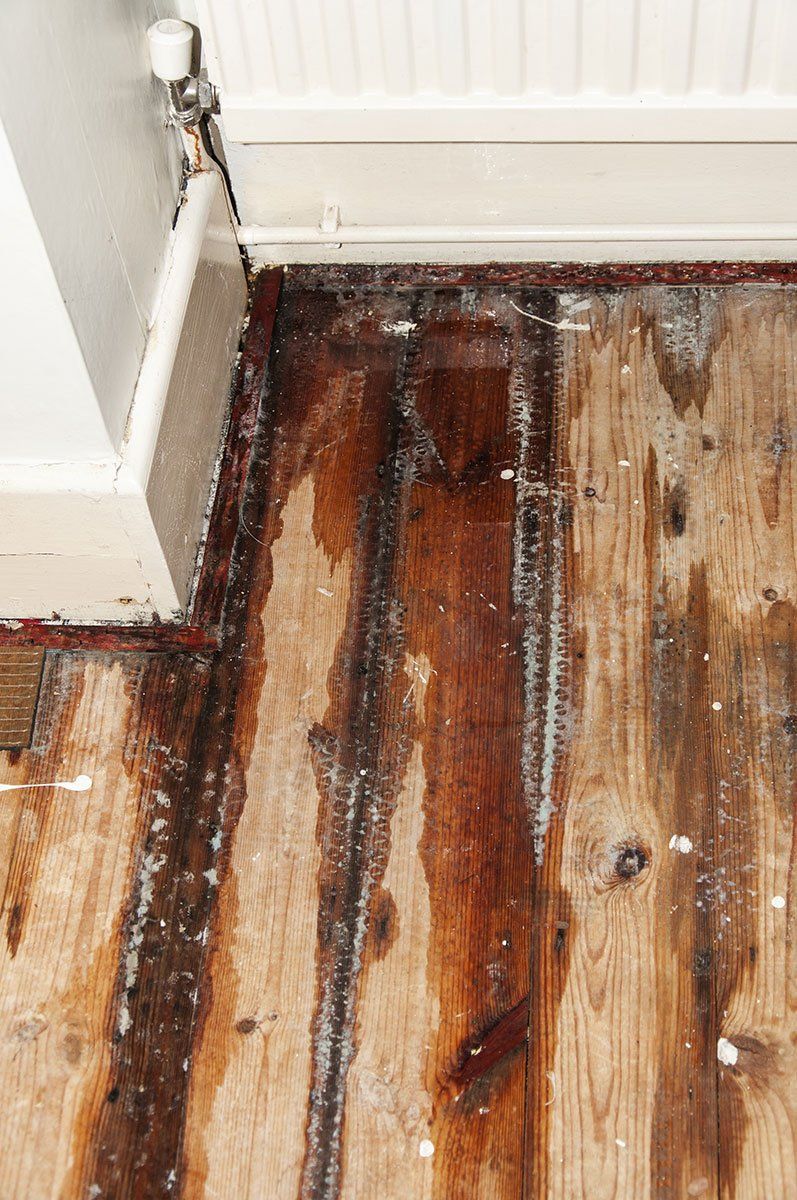 water damage restoration