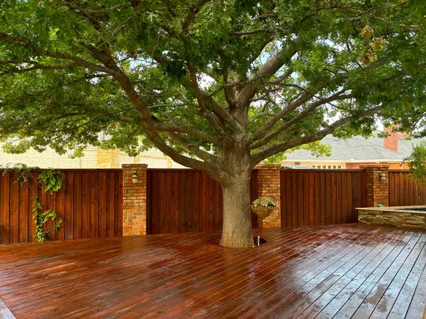 A large tree grows through a stained wooden deck, enclosed by a stained wooden fence and brick pillars.