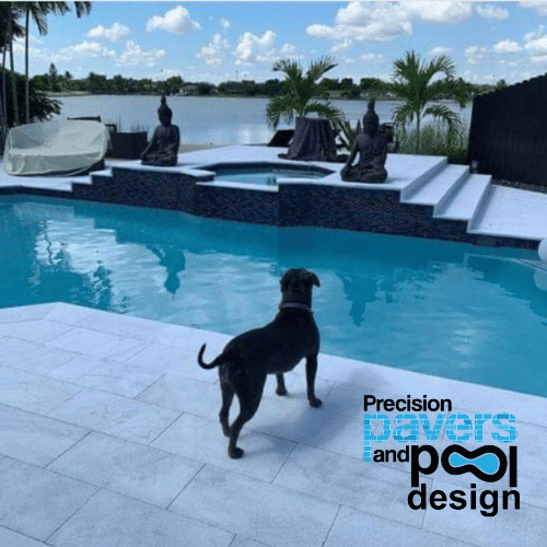 Dog overlooking swimming pool remodeling project in Weston Florida