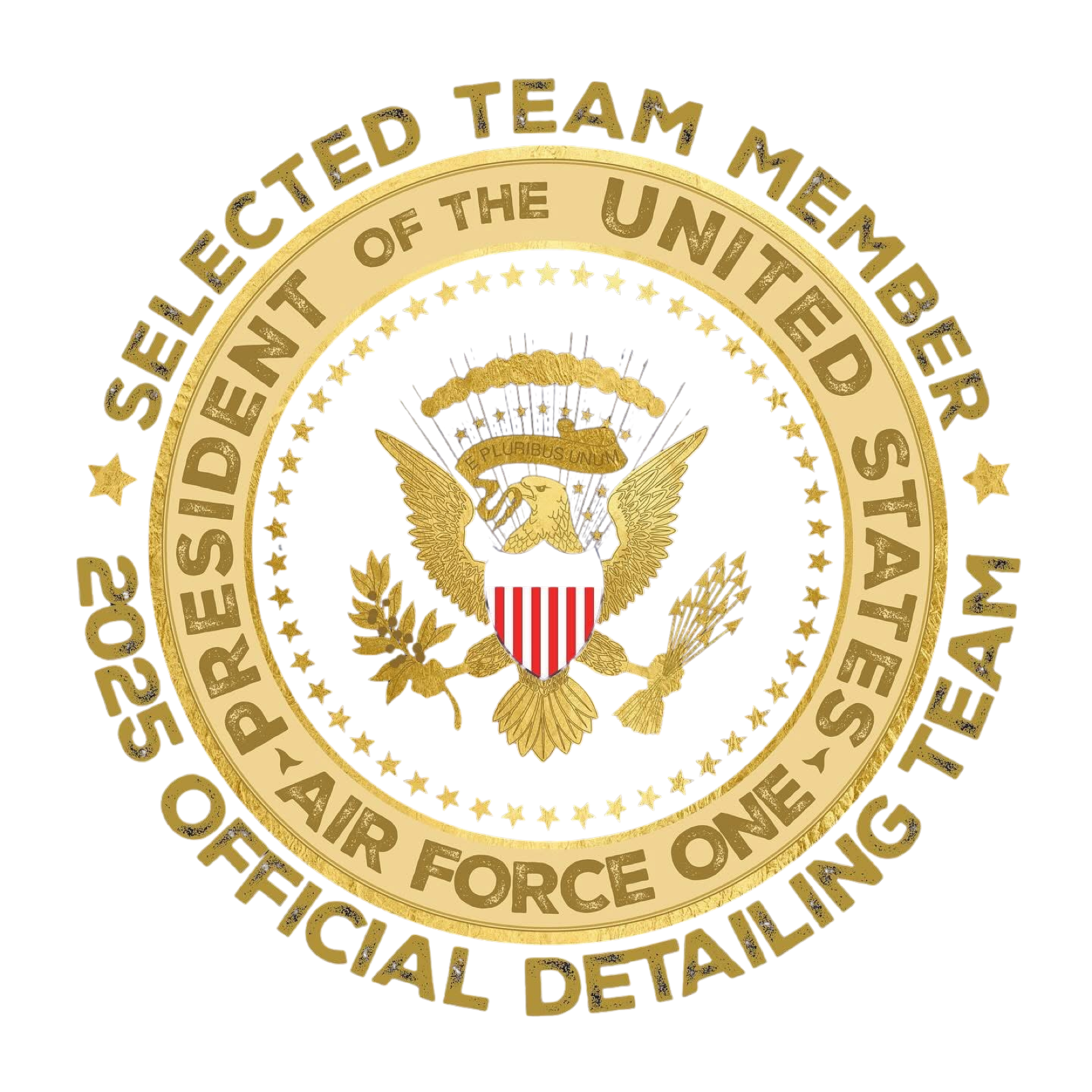 Air Force One selected detailing team logo