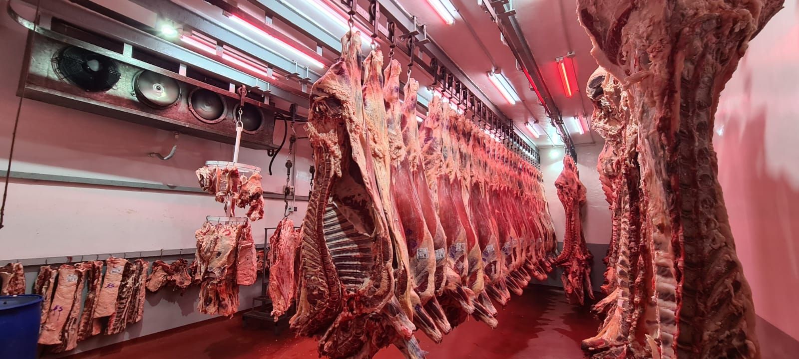 Refrigeración El Portugués Hijo