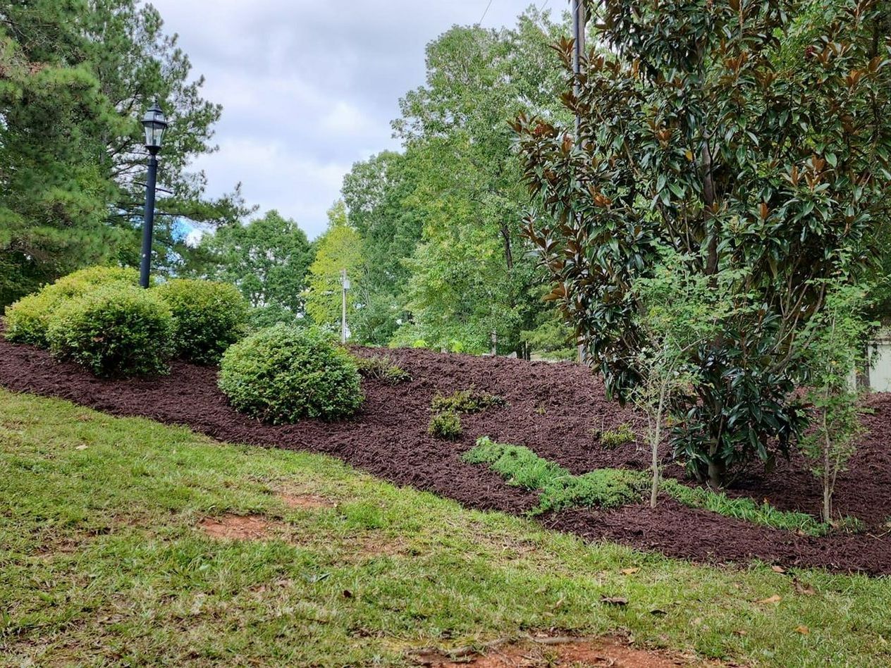 A dirt patch near a house — Kershaw, SC — Absolute Landscapes