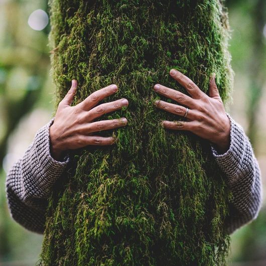 Eine Person umarmt mit ihren Händen einen moosbedeckten Baum.