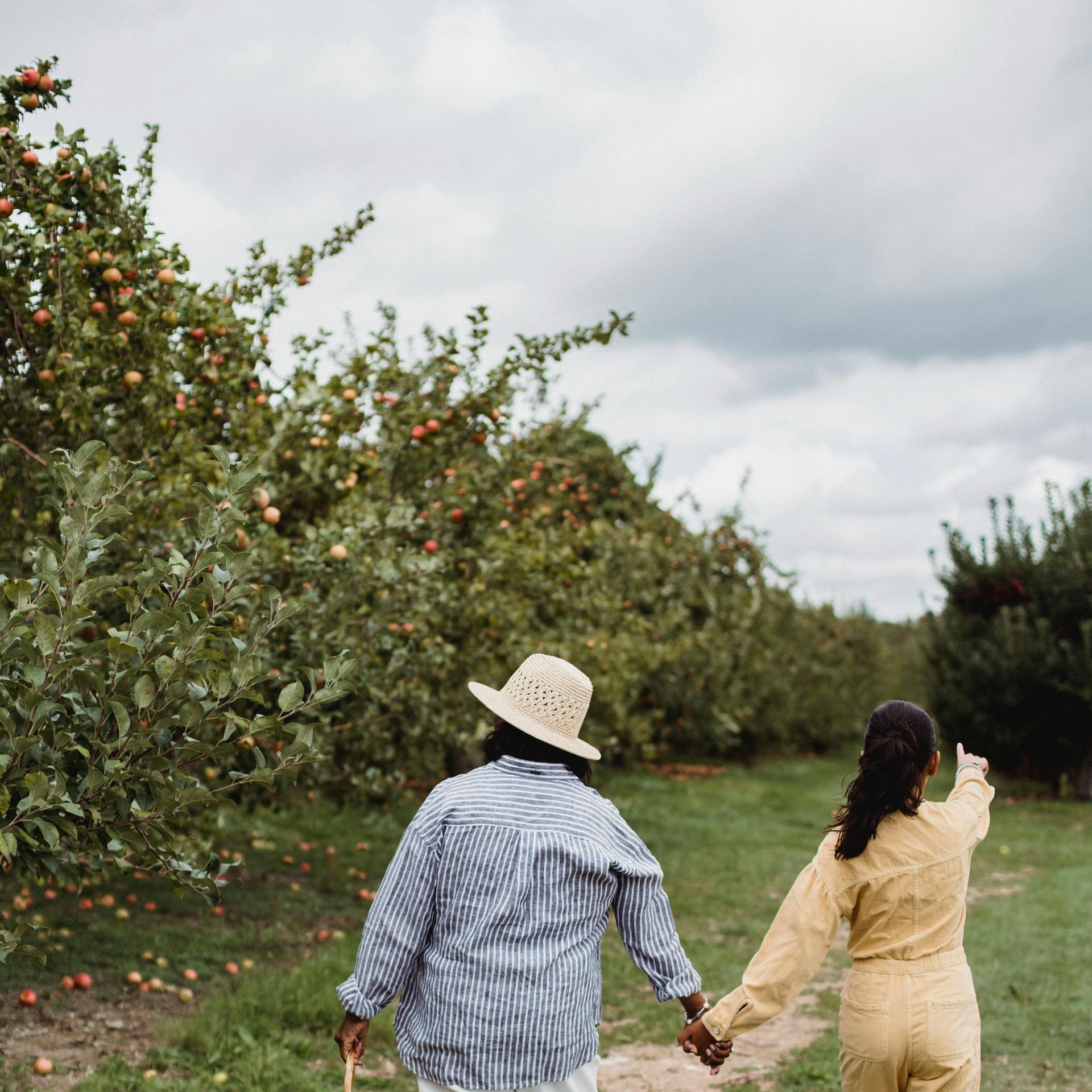 Two people walking hand-in-hand through an apple orchard, pointing. Trees laden with apples line the path.