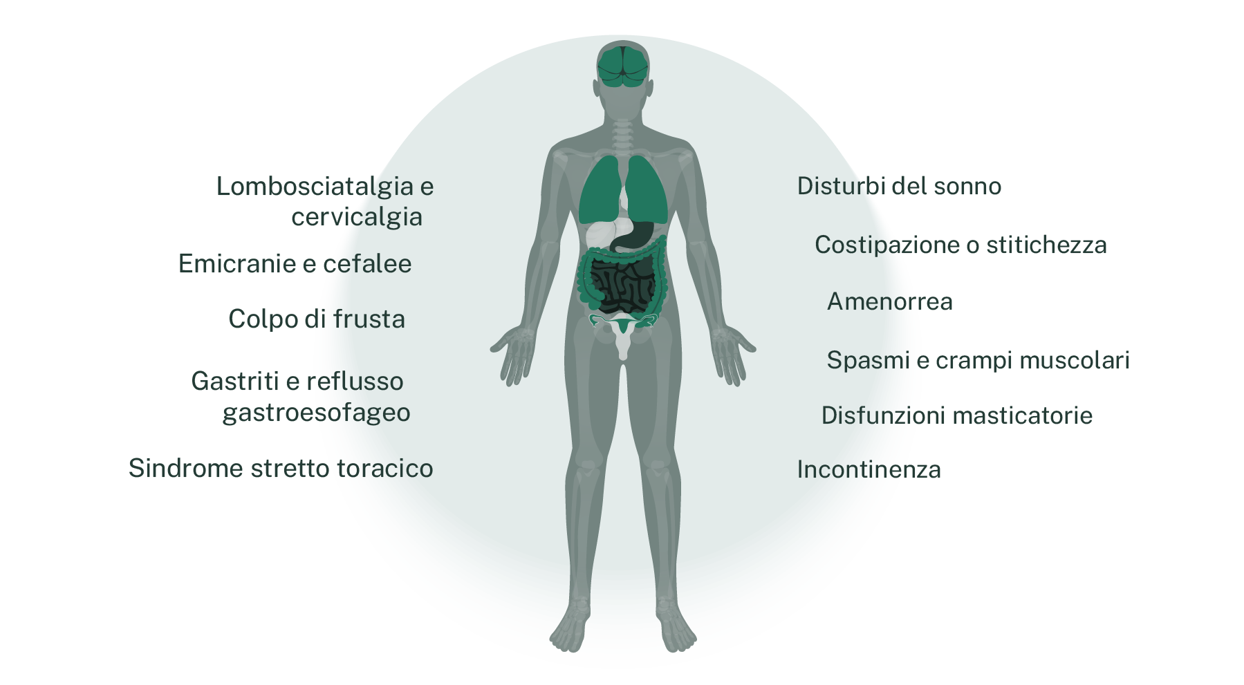 osteopata, osteopatia, terapia, i dolori muscolari, articolari, mal di schiena.