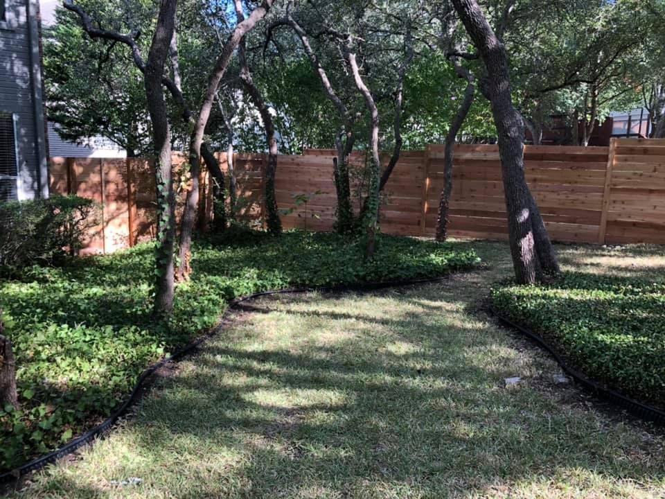 Trees & Wood Fence — Georgetown, TX — GTX FENCE