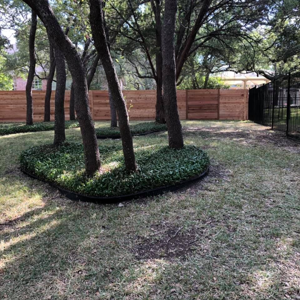 Trees & Fence — Georgetown, TX — GTX FENCE
