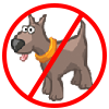 no dogs