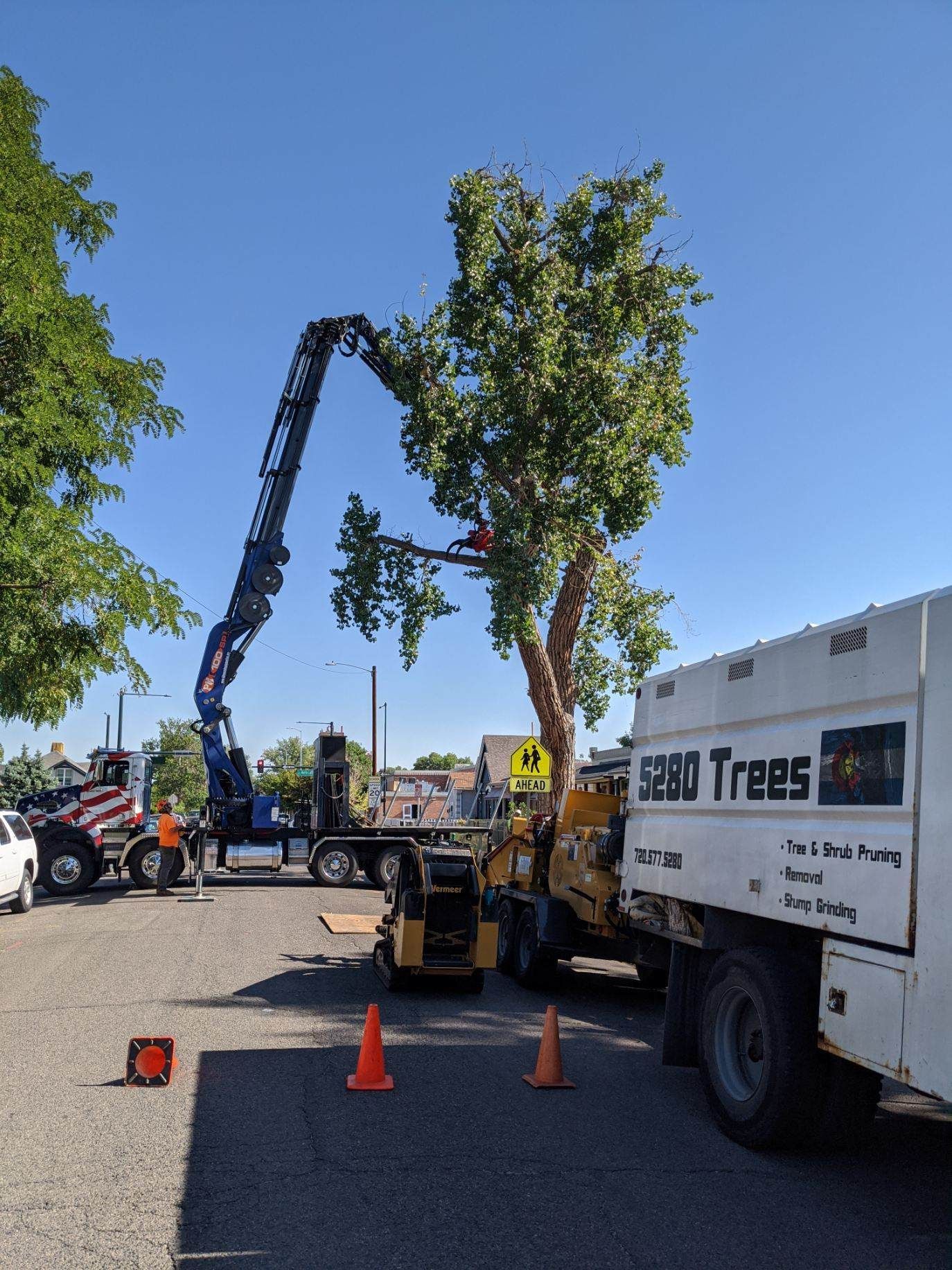 A good trees truck is parked in a parking lot