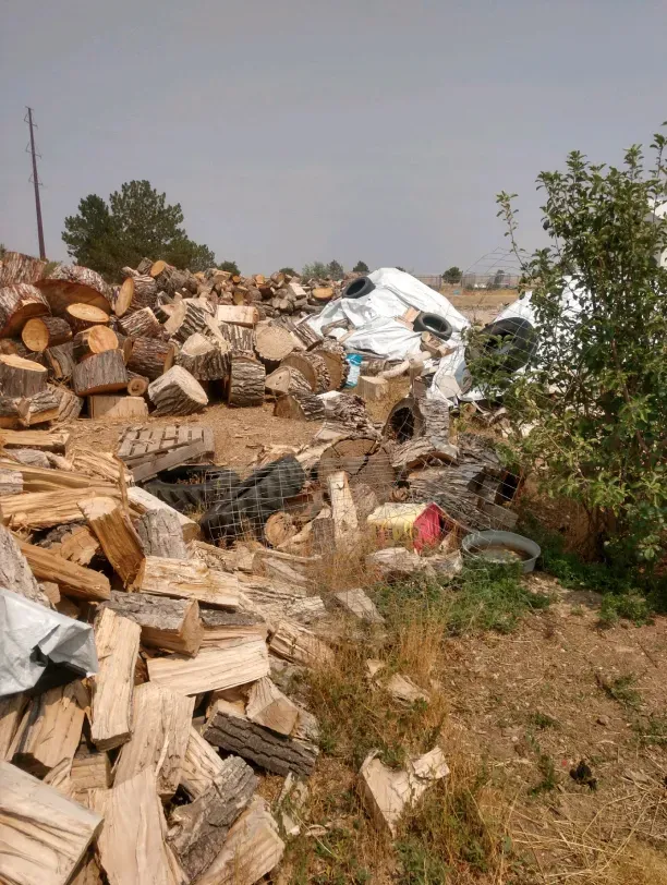 A pile of wood is sitting in the middle of a field.