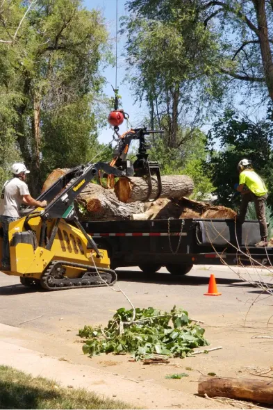 A group of men are loading a large log onto a truck.