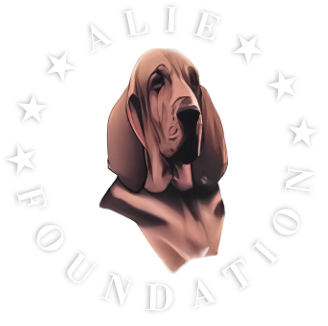 Alie Foundation Logo - Header