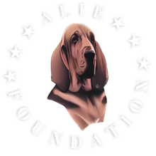 Alie Foundation Logo - Header