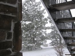 A staircase leading up to a snowy forest with trees covered in snow.