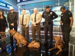 A group of police officers standing next to two dogs