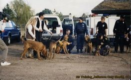 A group of people and dogs are standing in a parking lot.