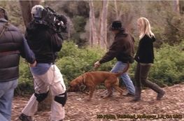 A group of people are walking with a dog in the woods.