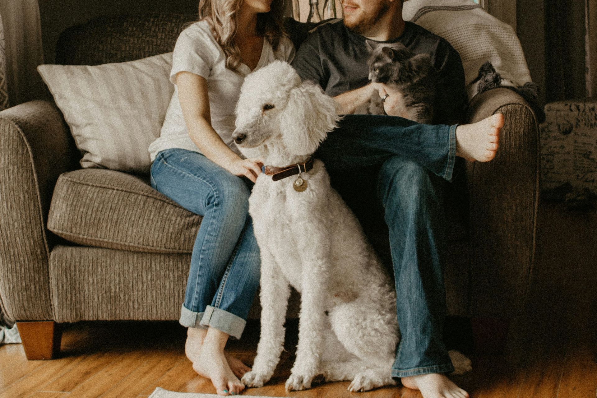 Couple cuddles on couch with dog and cat; wooden floor.