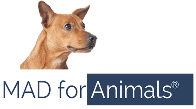 MAD for Animals logo