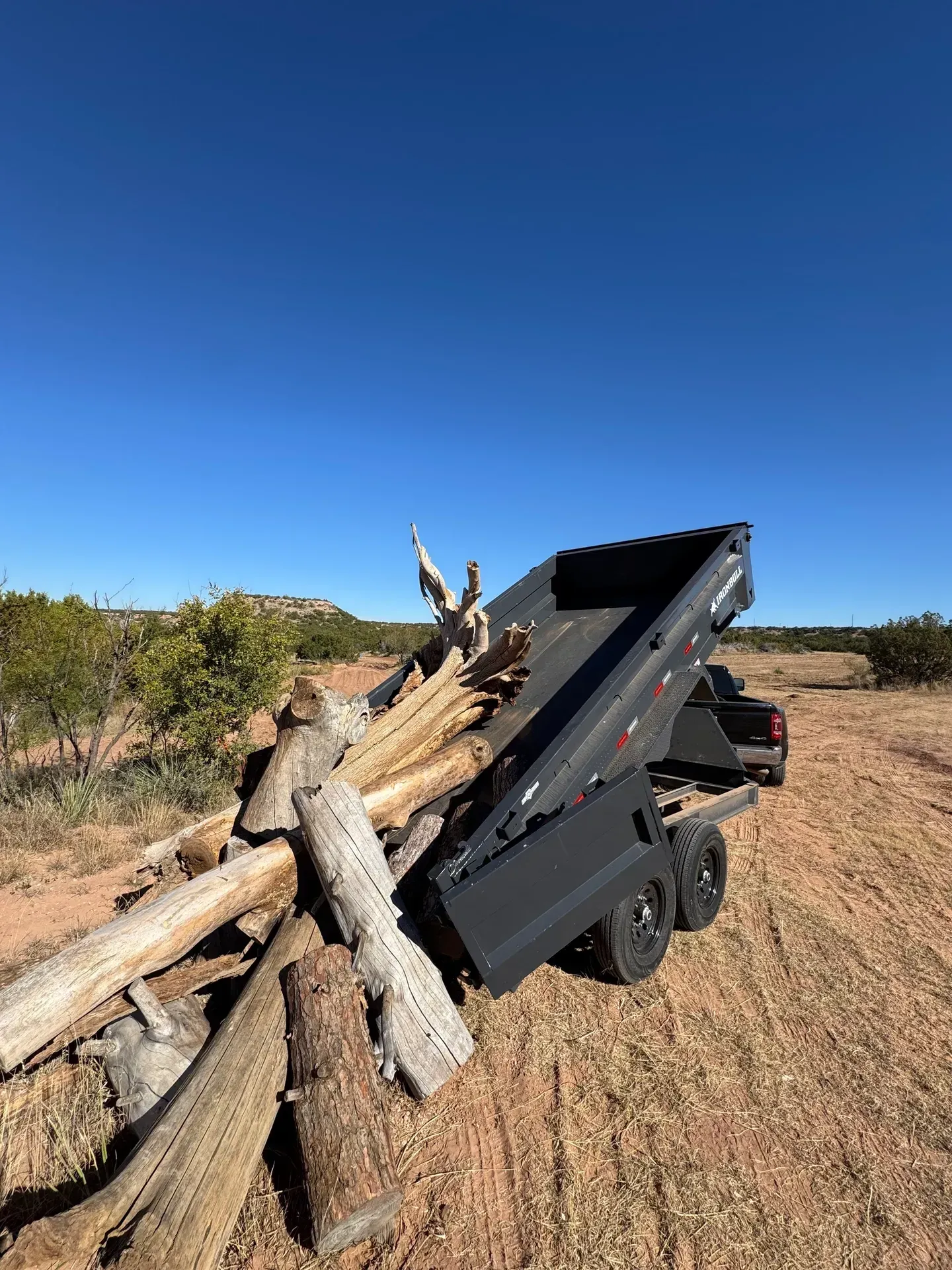 Dump trailer loaded with logs in a desert setting with a blue sky.