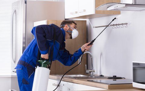 Pest Control — Worker Spraying Termite Spray Under The Kitchen Cabinet In Kaufman, TX