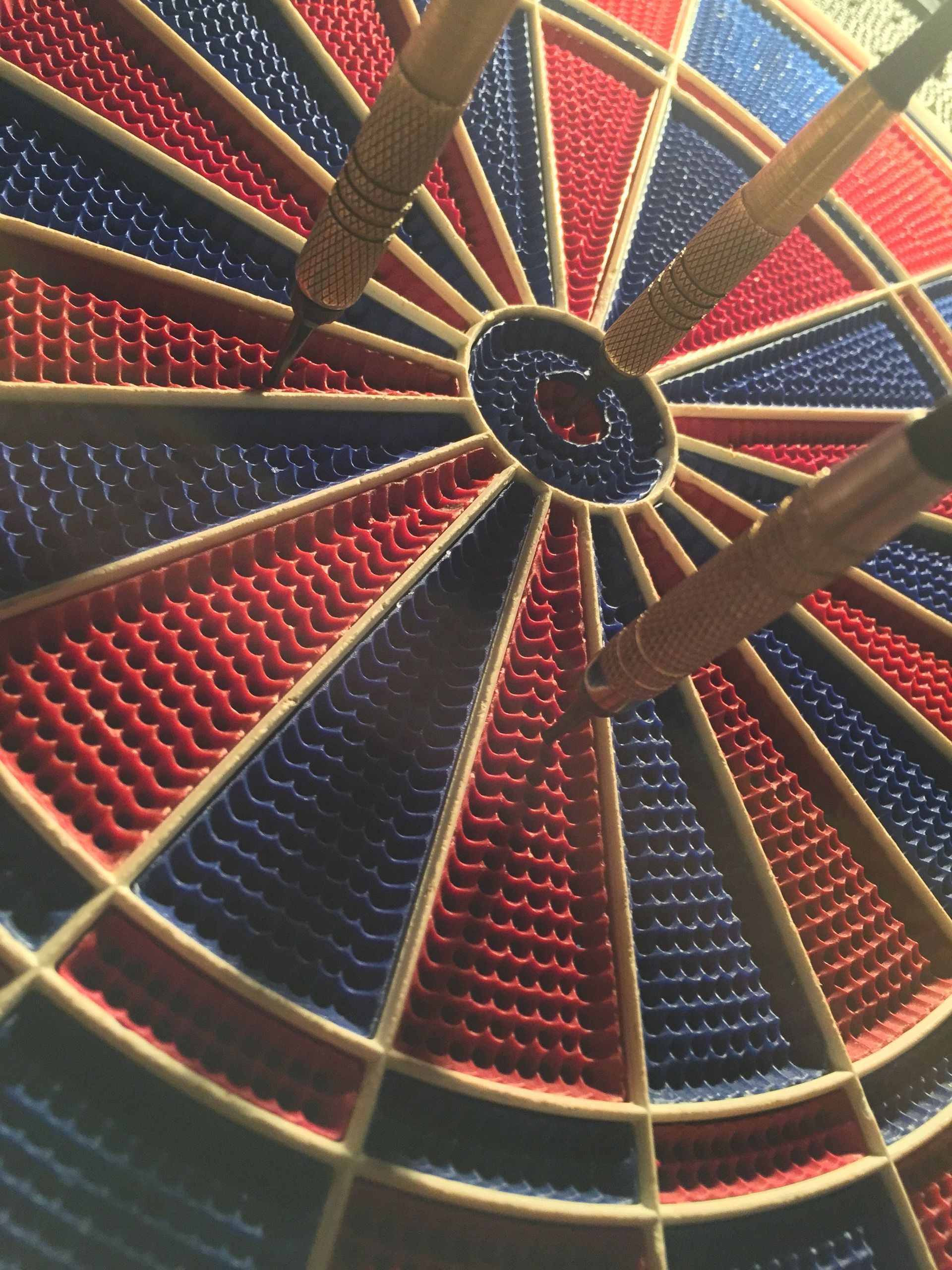 Vermogen Raymond van Barneveld, wereldkampioen darts